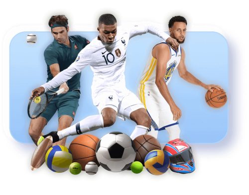 今年会体育体育